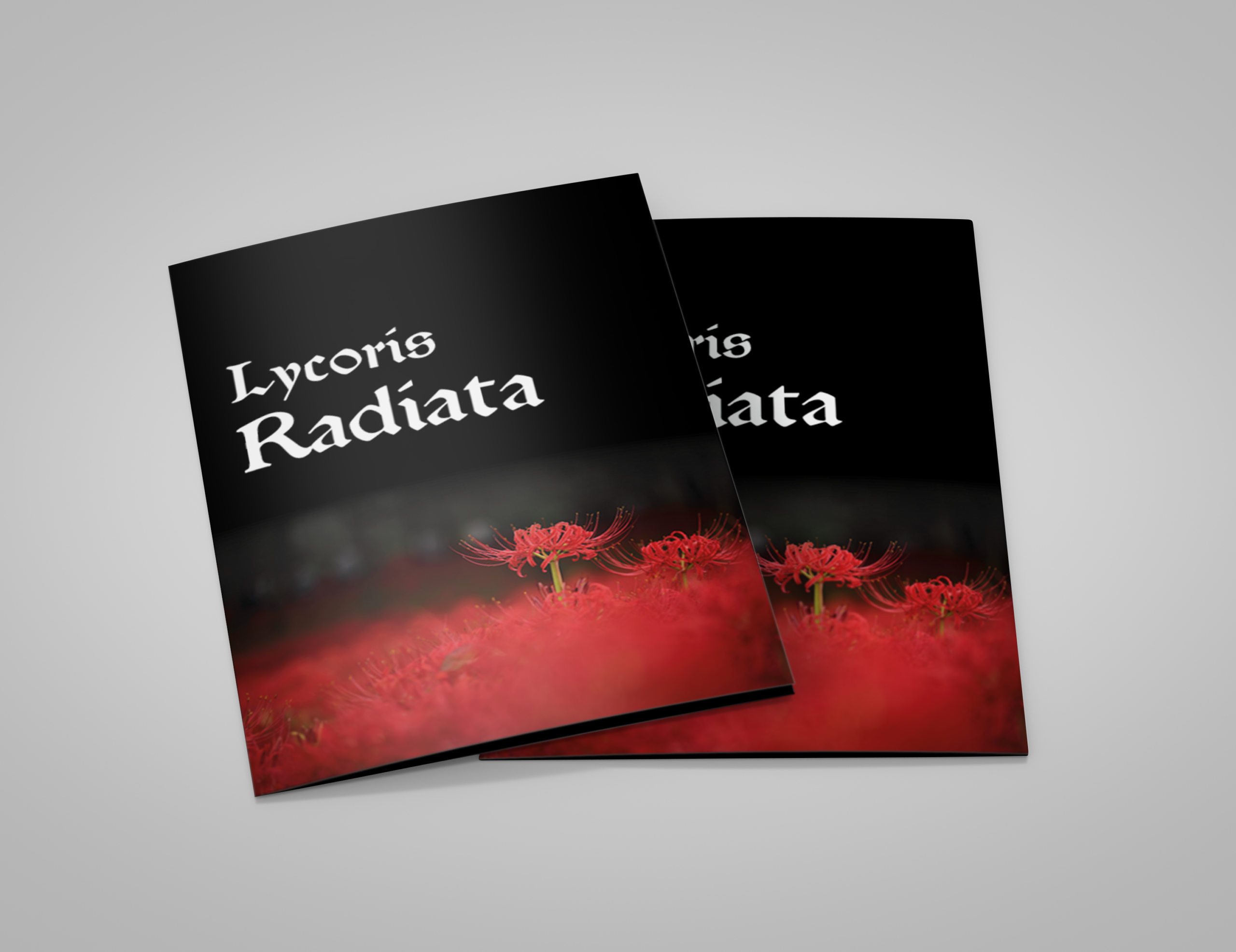 Projet 1